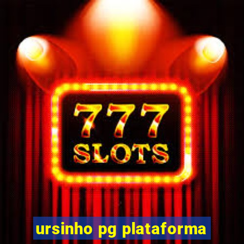 ursinho pg plataforma