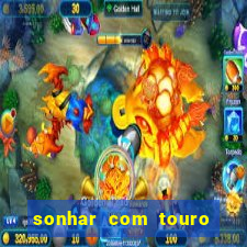 sonhar com touro bravo no mundo espiritual