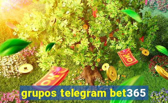 grupos telegram bet365