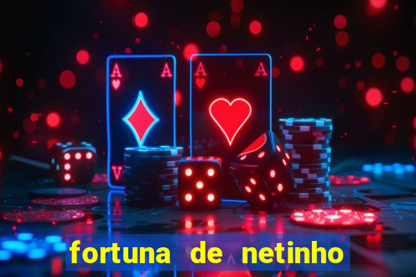 fortuna de netinho de paula