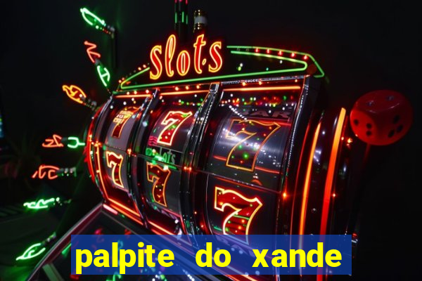 palpite do xande de hoje