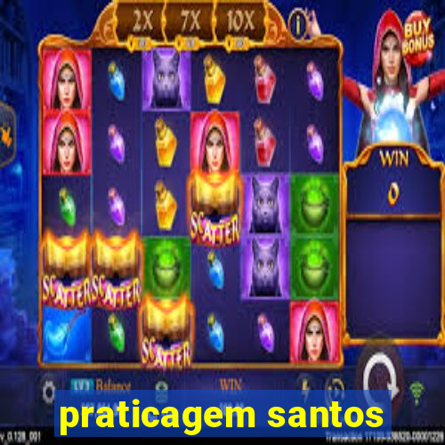 praticagem santos