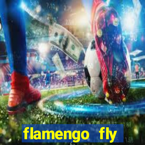 flamengo fly emirates ultimas noticias